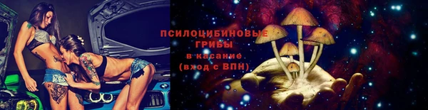 apvp Киреевск