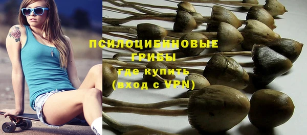apvp Киренск