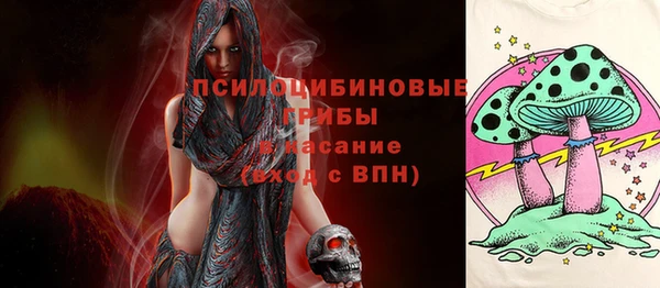 стафф Кинешма