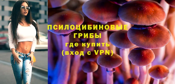стафф Кинешма