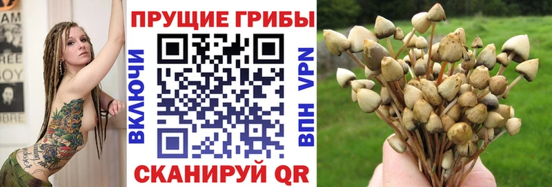 Галлюциногенные грибы Psilocybe  даркнет сайт  ОМГ ОМГ маркетплейс  Камышин 